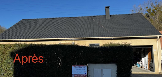 Nettoyage et peinture de toiture 76